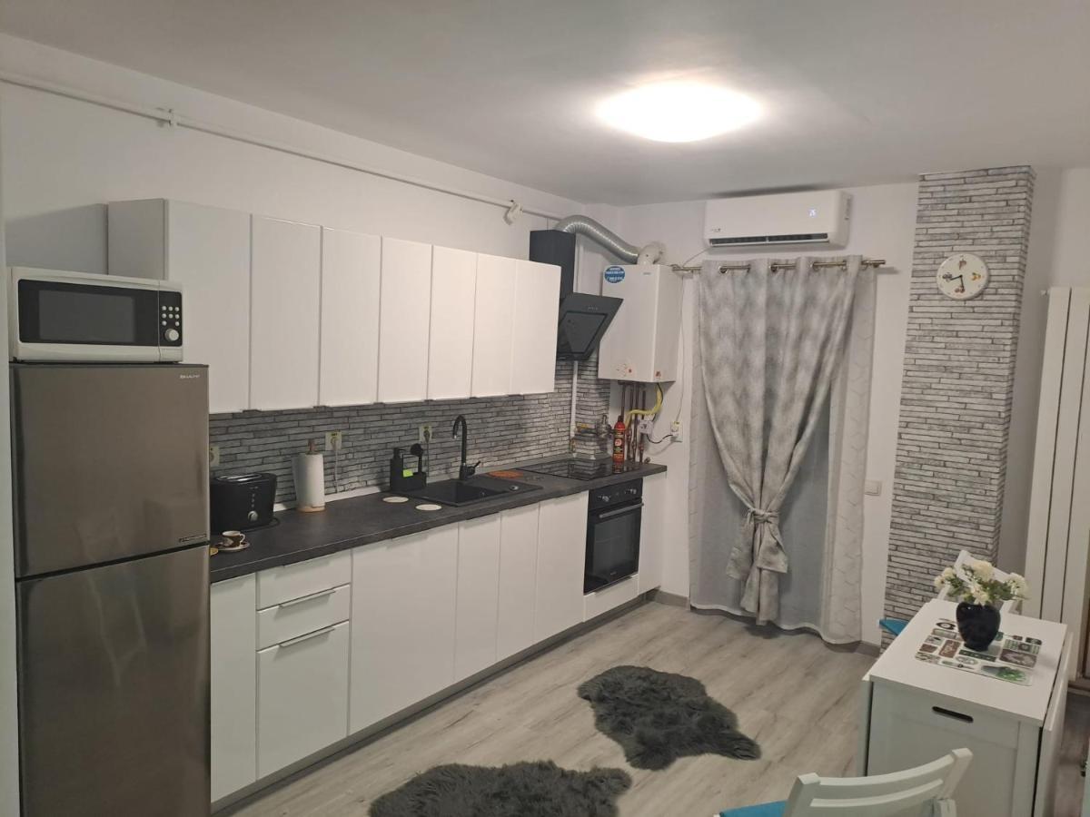 Apartament Bio Şelimbăr Exterior foto